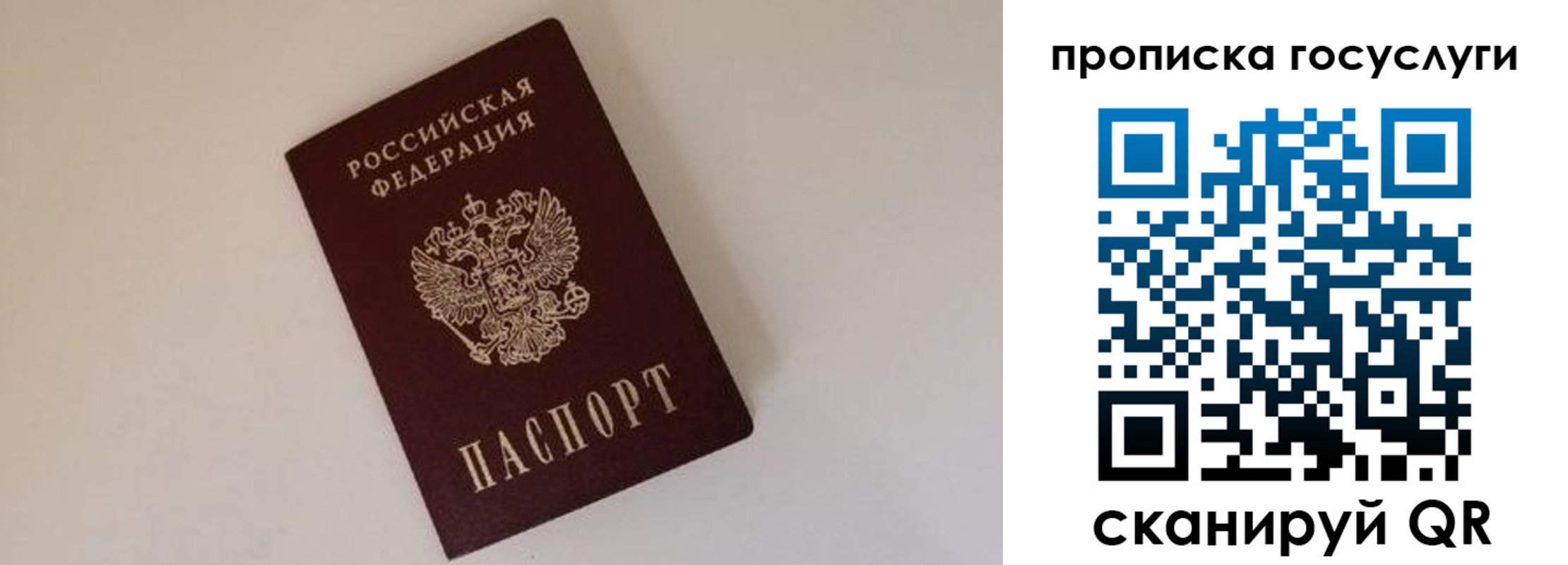 регистрация для дет. сада в Петропавловске-Камчатском